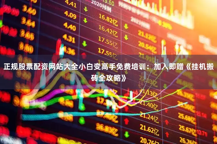 正规股票配资网站大全小白变高手免费培训：加入即赠《挂机搬砖全攻略》