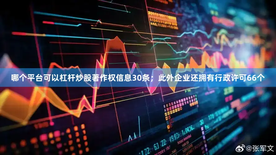 哪个平台可以杠杆炒股著作权信息30条；此外企业还拥有行政许可66个